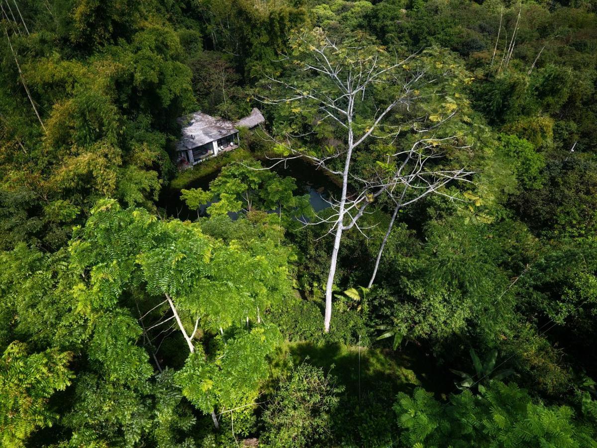 Cantalarana Lodge Mindo Exterior photo