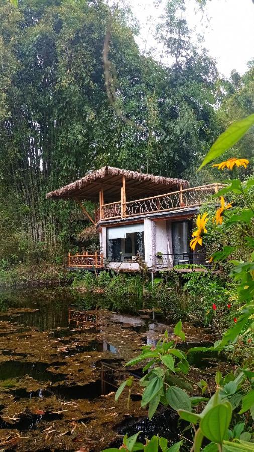 Cantalarana Lodge Mindo Exterior photo