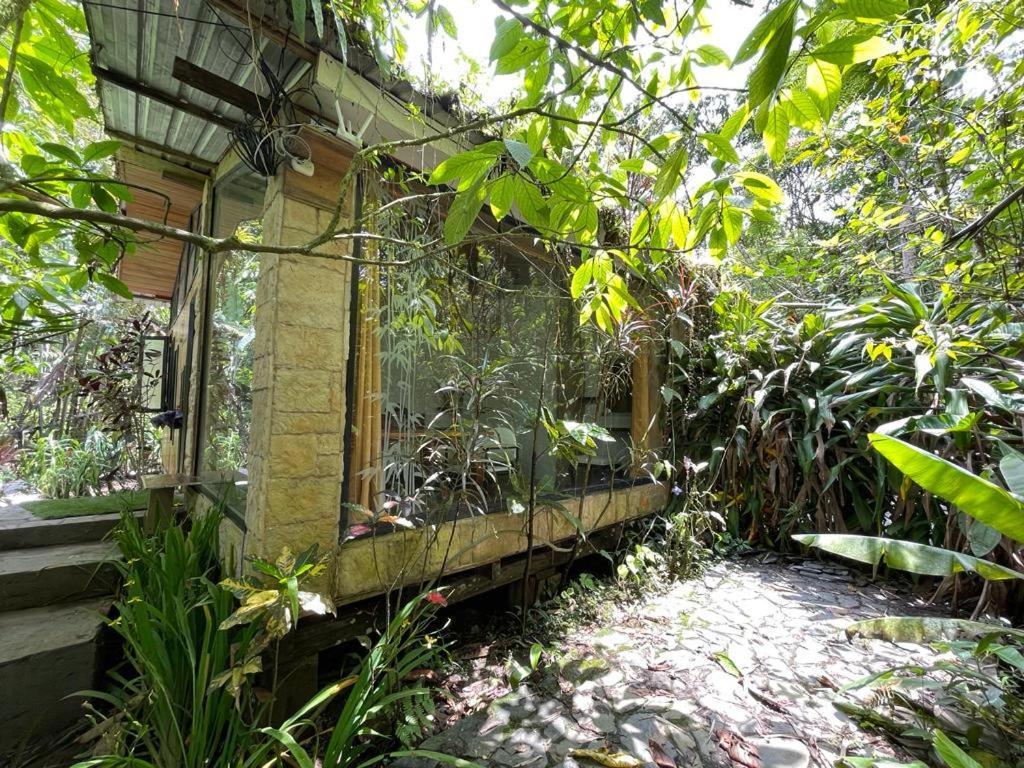 Cantalarana Lodge Mindo Exterior photo