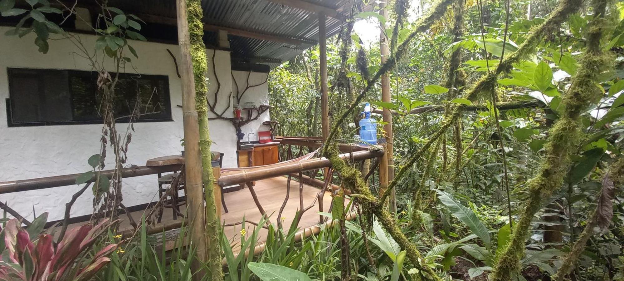 Cantalarana Lodge Mindo Room photo